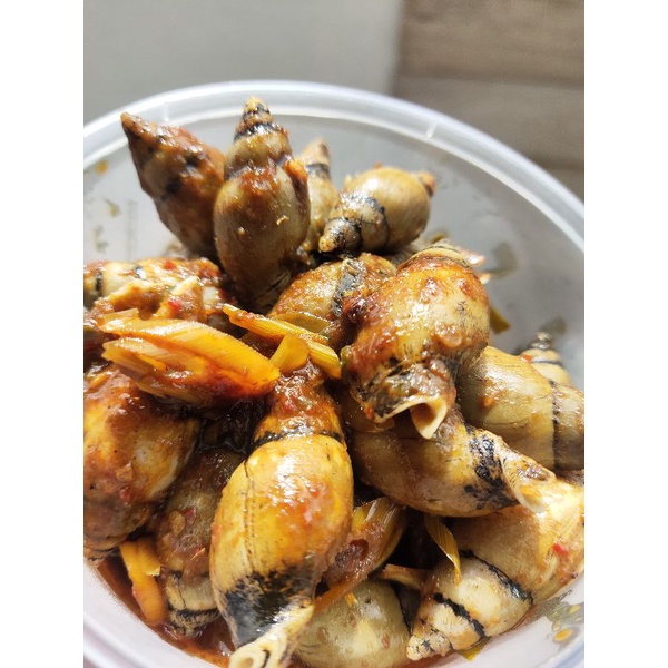 

[SEAFOOD] Siput Serai Bumbu Rempah Frozen