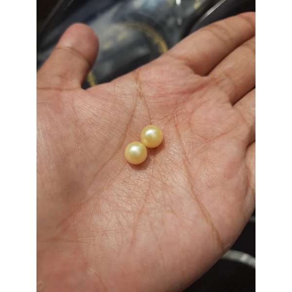 sepasang mutiara butiran mutiara laut gold