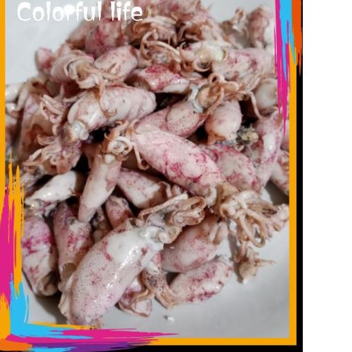 

➣ Cumi asin baby 1kg/cumi asin rebus/ikan asin cumi baby ☇