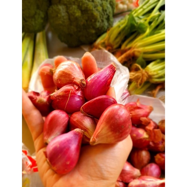 

Bawang Bawang Merah Super Brebes 1 Kg