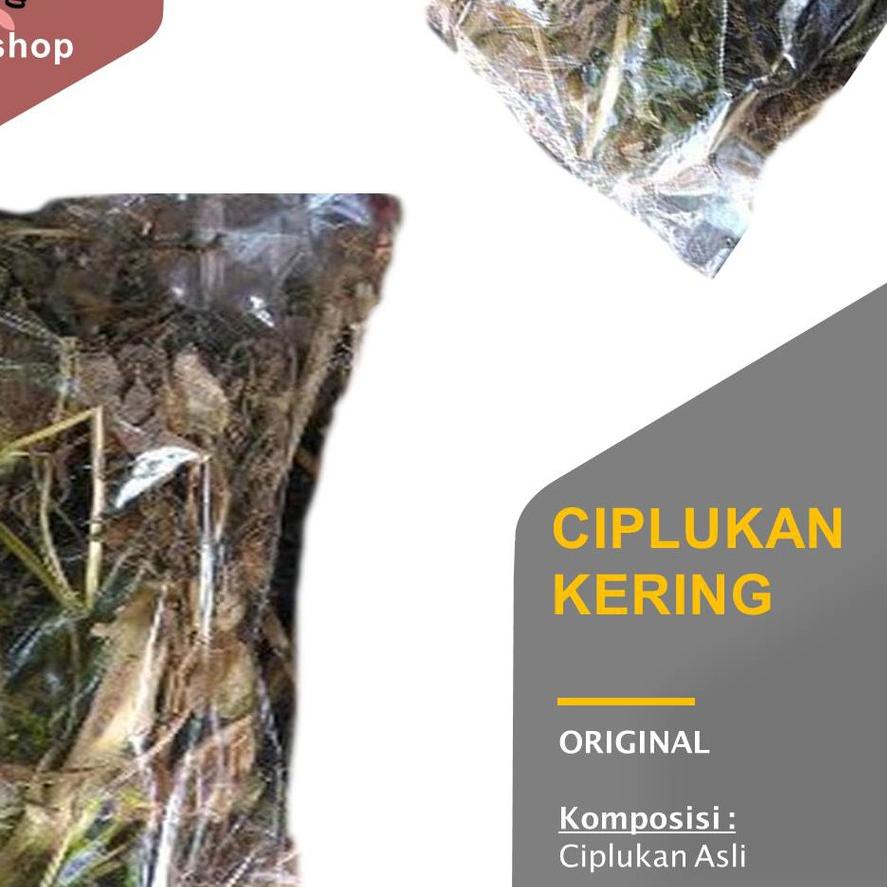 

♛ Daun Ciplukan Kering 1 kg Ceplukan (Morel Berry Leaf) ۞