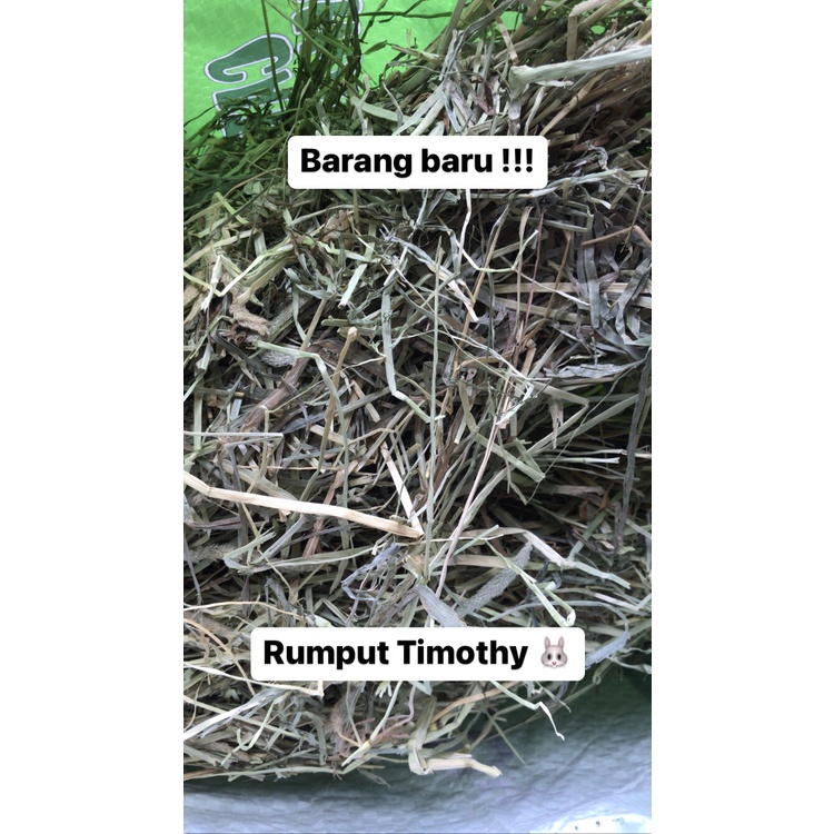 Rumput Timothy Hay KEMASAN 500gram