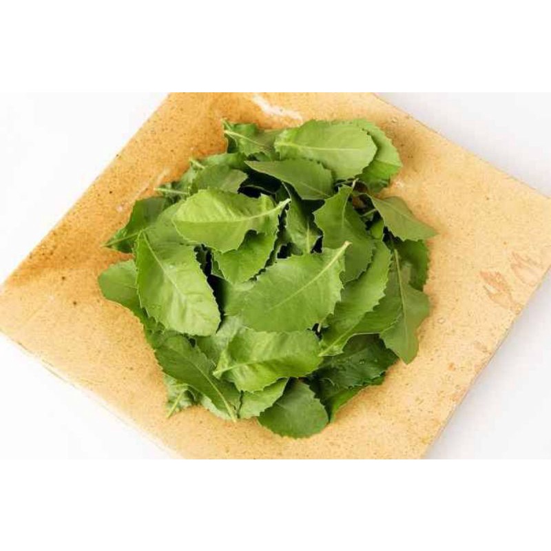 

Daun luntas bisa di gunakan untuk hidangan makanan 500gr