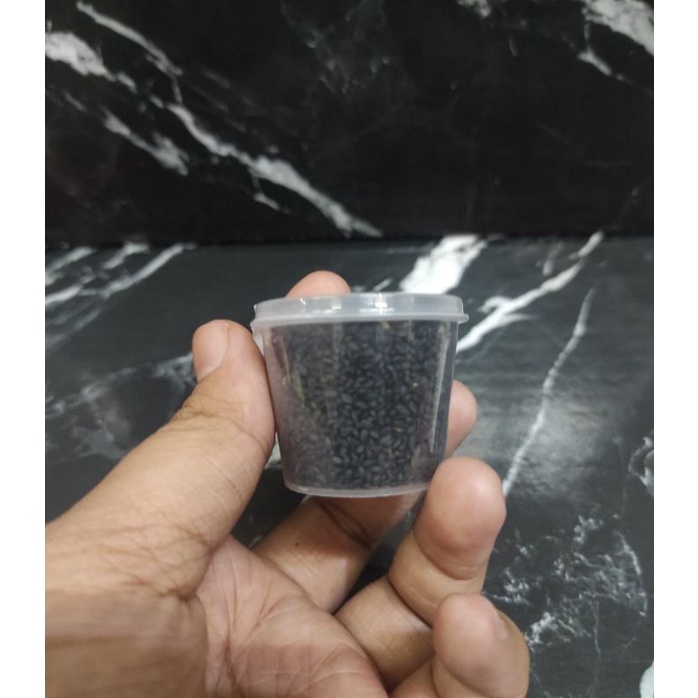 

BIJI SELASIH CUP KECIL