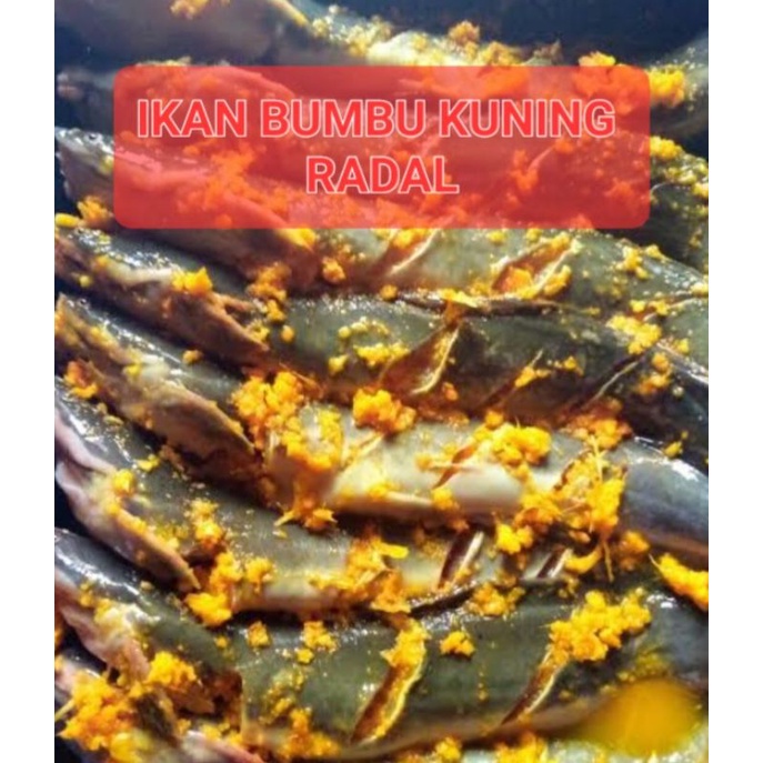 

Ikan lele bumbu kuning