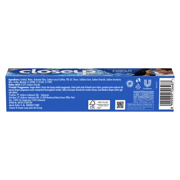 Closeup Pasta Gigi Everfresh Icy White 160g 65g Close Up Biru 160 g