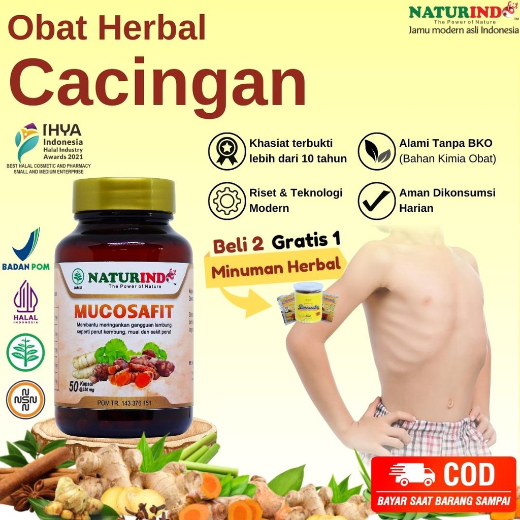 Obat Cacingan Dewasa Anak Badan Kurus Penggemuk Badan Gangguan Pencernaan Herbal Alami Halal BPOM Te