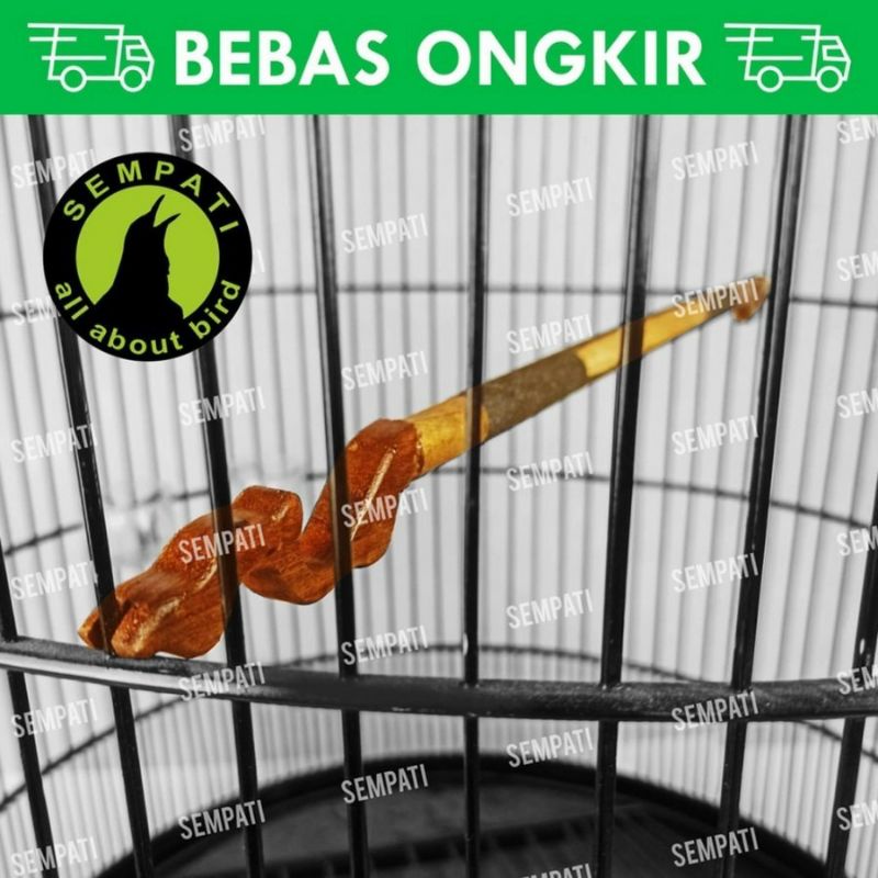 tangkringan amplas murai