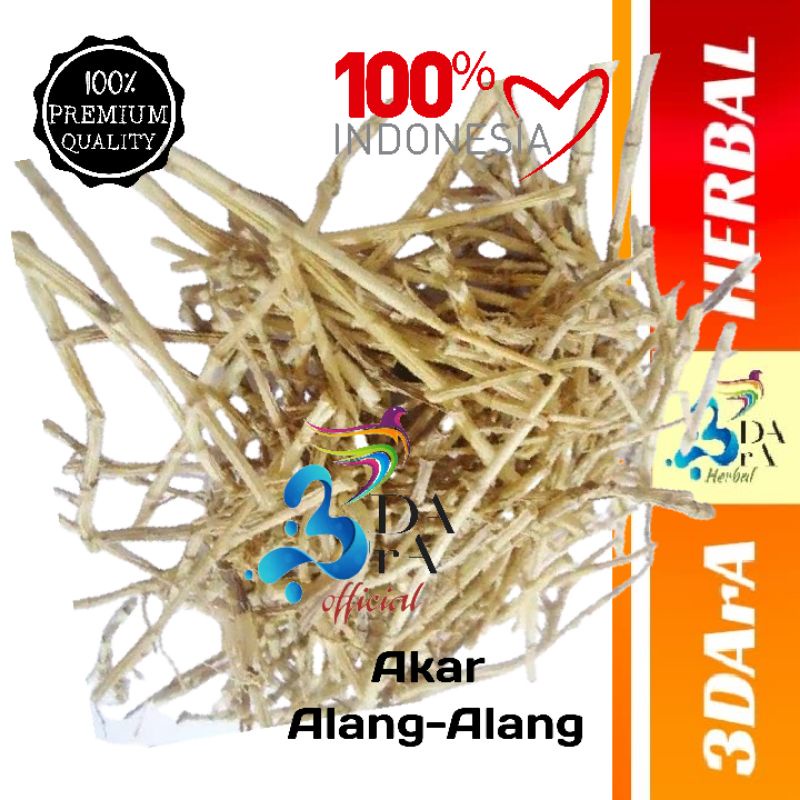 

Akar Alang-alang Kering 500gr Premium