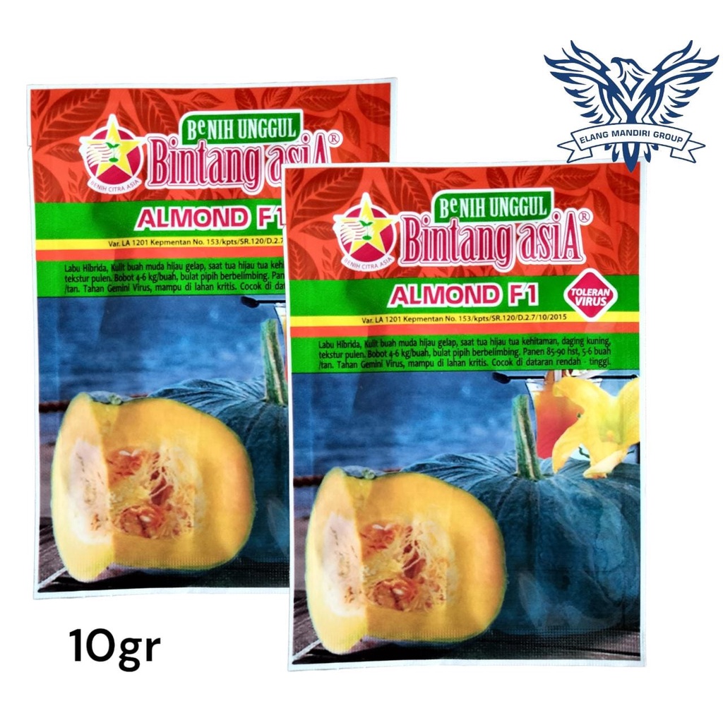 Benih Bibit LABU ALMOND F1 10gr Bintang Asia 100% Original - Kusuma f1