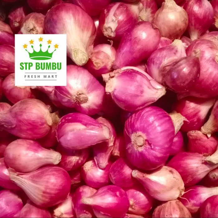 

Bawang Bawang Merah Brebes Super Besar