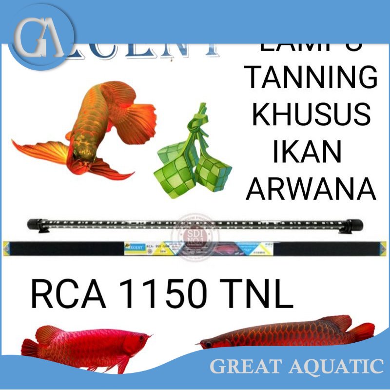 LAMPU TANNING AQUARIUM RCA 1150 TNL RECENT