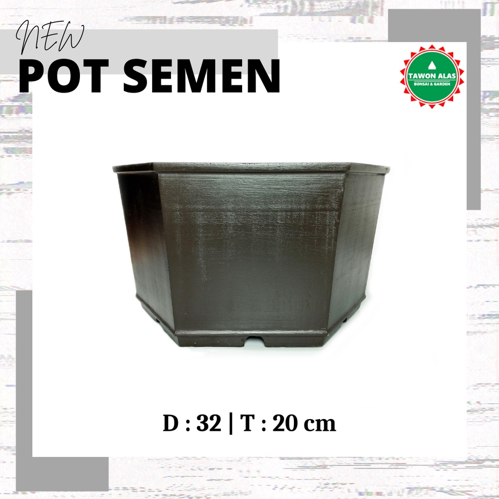 Pot Bonsai Semen Segi Enam Medium