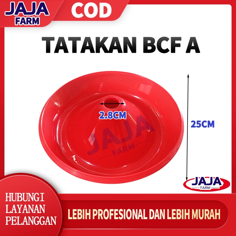 Tatakan BCF - Baby Chick Feeder / Tempat Makan Ayam
