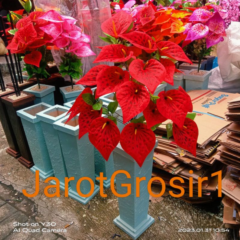RANGKAIAN ANTHORIUM ARON PANDA DENGAN POT JUMBO+BATU TINGGI 100cm