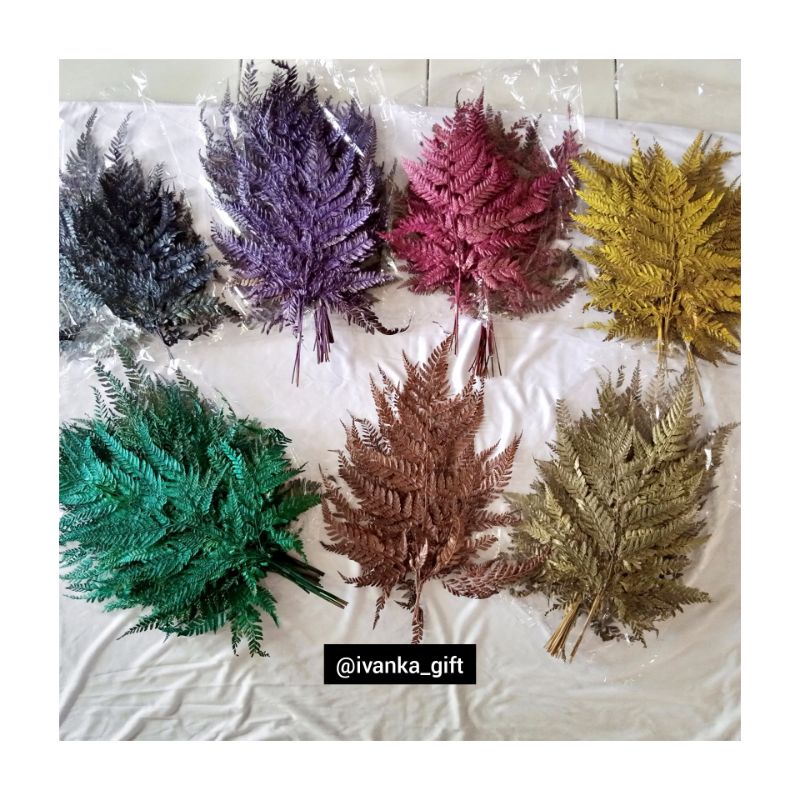 Daun Pakis Kering | Daun Paku Kering | Hiasan Mahar