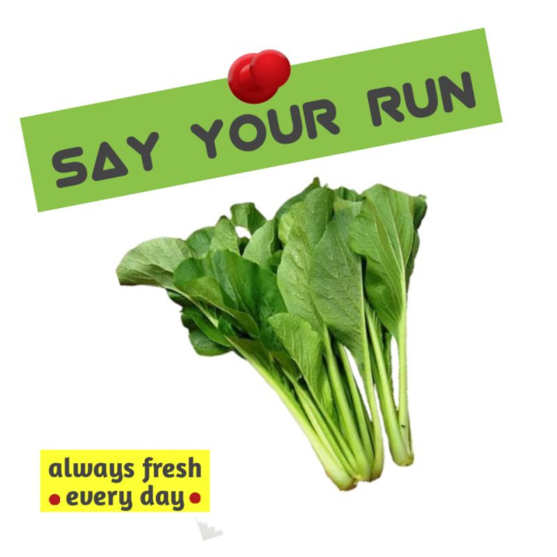 

Sayur Murah!!! Sawi Hijau 250 gram