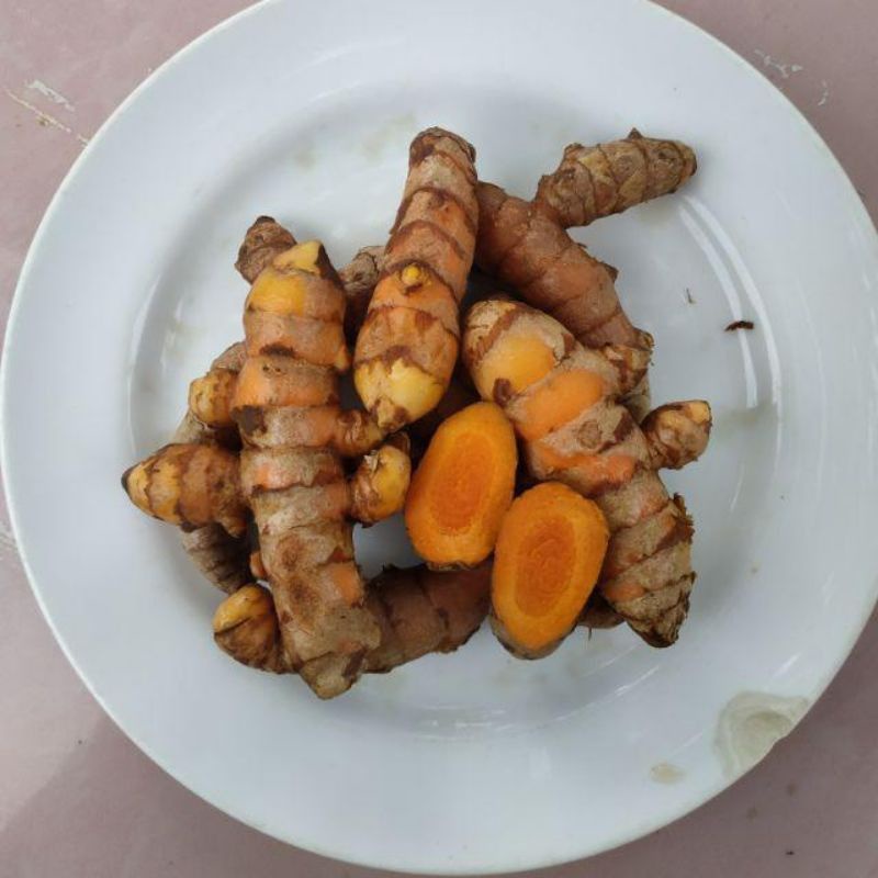 KUNYIT MASAK / KUNYIT KUNING SEGAR MURAH
