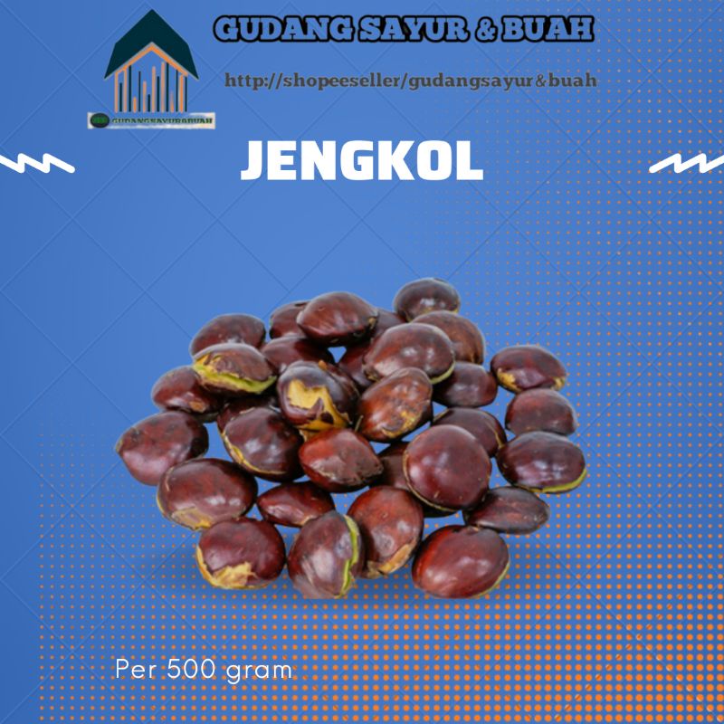 

JENGKOL SEGAR 500 GR
