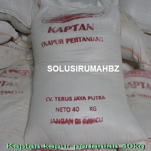 PERKG KAPUR DOLOMIT PERTANIAN kalsium CaO magnesium MgO DOLOMITE