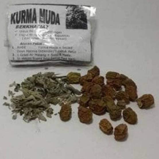 

➭ Kurma Muda Kering Plus Daun Marmia ☀
