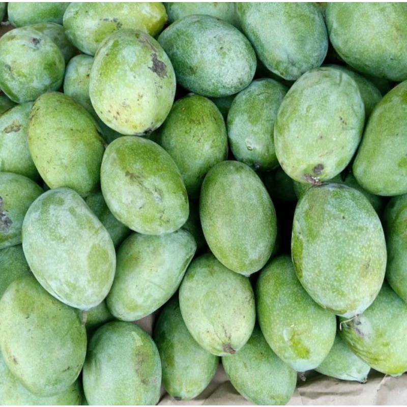 

Buah Mangga Manalagi Simanalagi