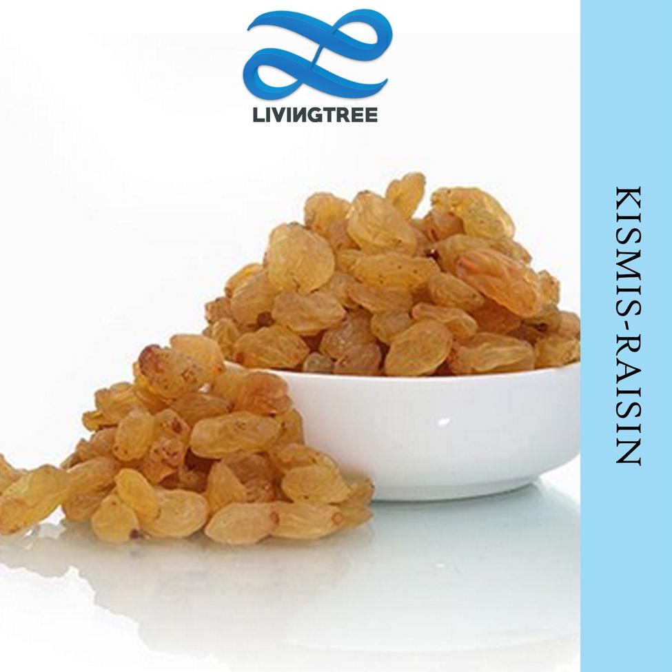 

M39 Kismis Golden Kismis Asam Manis 1KG | kismis raisins 1000g CUCI GUDANG ㅭ