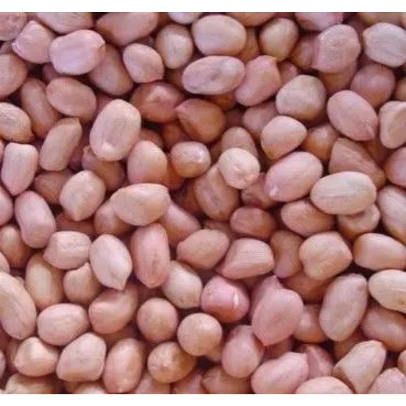

kacang tanah 250/500gram