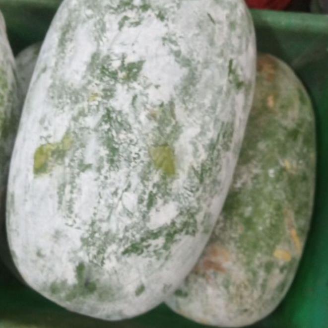 

♣ buah bligo tua super besar ✿