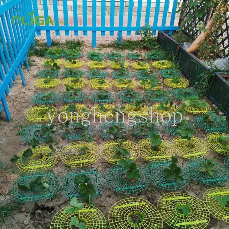 Strawberry Stand Frame Holder Balkon Rak Tanam Penyangga Buah Tanaman Bunga Rambat Rambat Pilar Berkebun Stand