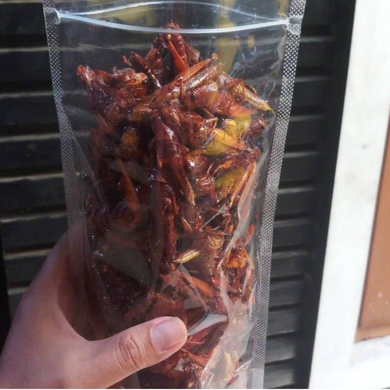 

Harga Promo BELALANG GORENG / WALANG GORENG / BELALANG BESAR - KEMASAN INCIP 35 gr. LWM