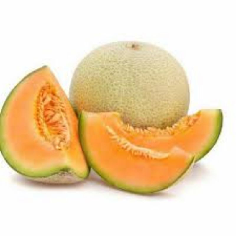 

Buah Melon Orange 1bh