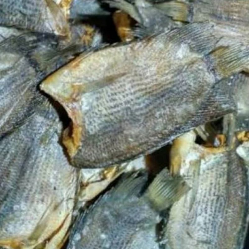 

Ikan Asin Sepat Siam