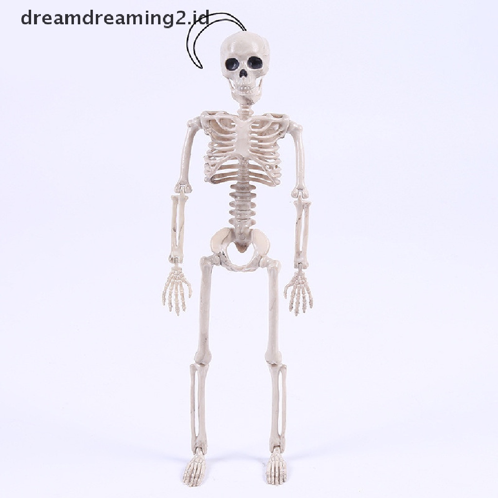 (dream) Kerangka Posable Halloween Decor Mengerikan Tulang Pria Merayap Dekorasi Pesta.