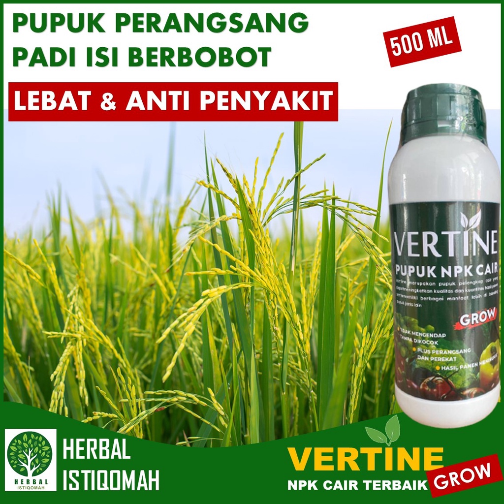 PUPUK BUAH PADI TERBAIK Semprot VERTINE GROW 500 ML – Obat Pelebat Buah Padi Besar dan Berbobot – Pu
