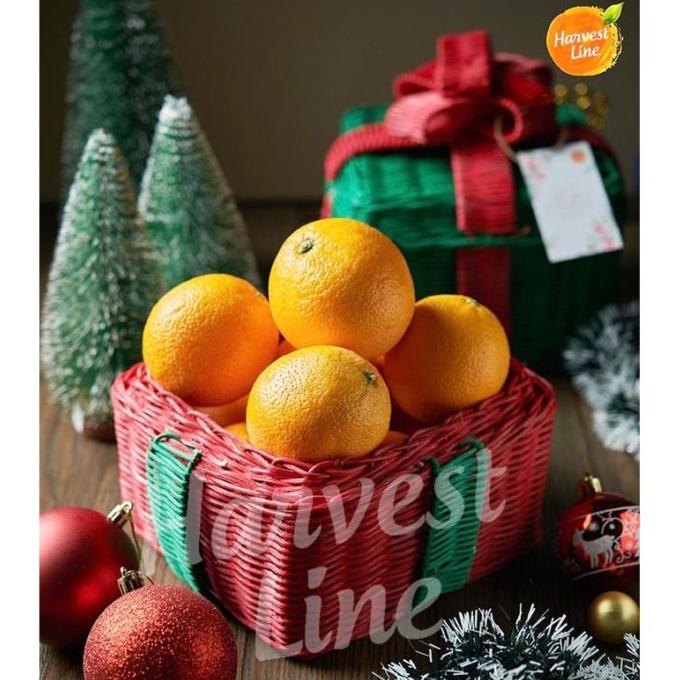 

PARCEL HAMPERS BUAH SEGAR MODEL KERANJANG + FREE KARTU UCAPAN [HARVEST TH45646Y
