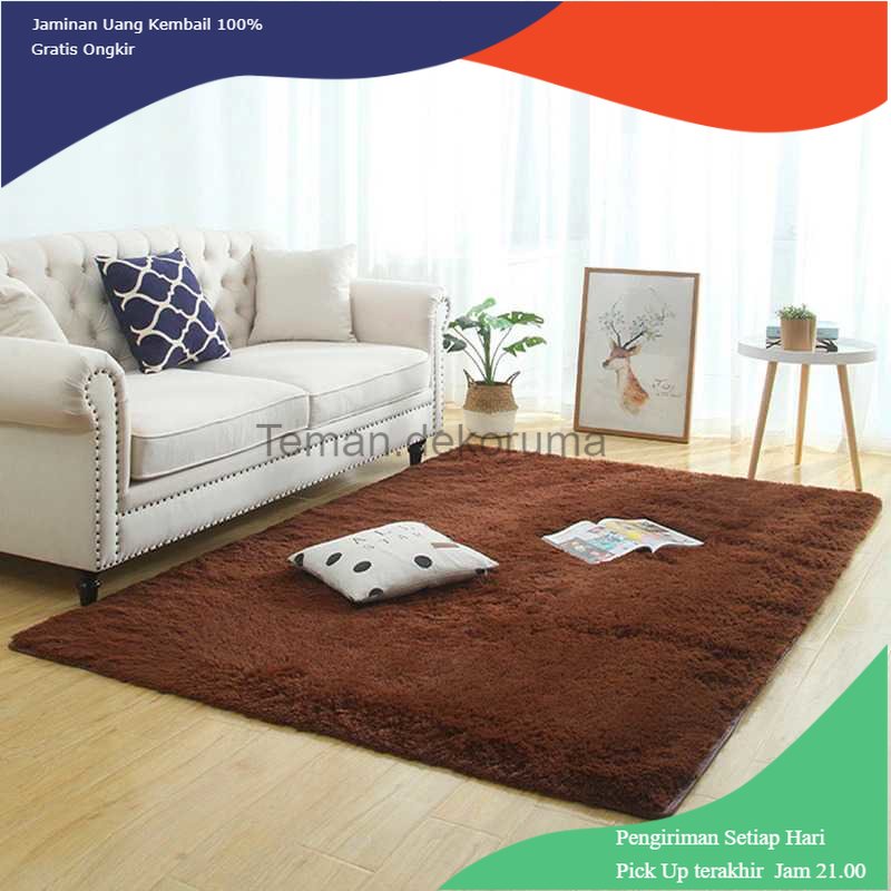 TD - DPR DRESHOME Karpet Matras Bulu Non-Slip Living Room Rug 60x120cm - DE2002