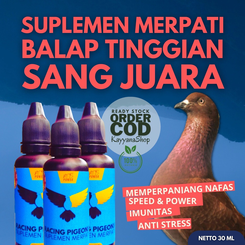 Suplemen Merpati / Suplemen Merpati Kolong / Suplemen Merpati Pos / Doping Merpati / Doping Merpati 