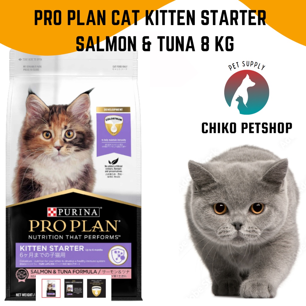 Makanan Kucing PRO PLAN Cat Kitten Starter Salmon &amp; Tuna 8 Kg | PROPLAN Kucing 8Kg