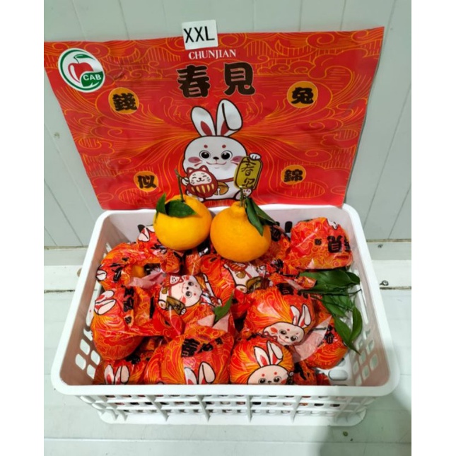 Buah Jeruk Dekopon Chunjian Fresh Import /1 keranjang