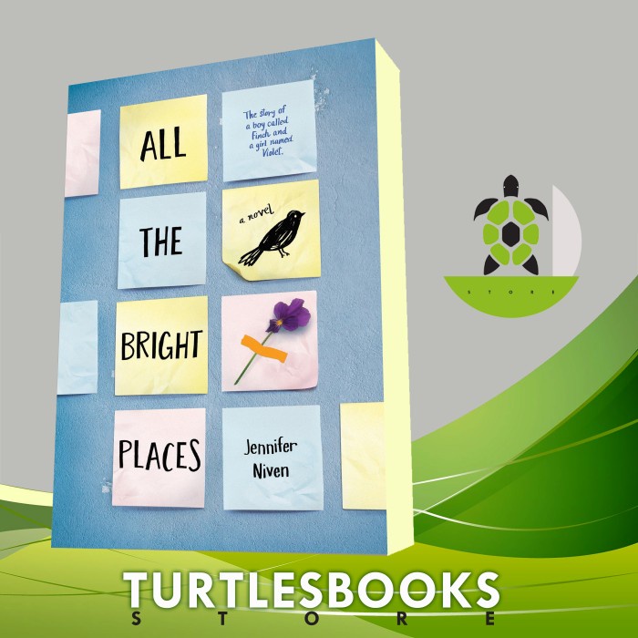 All the Bright Places Jennifer Niven