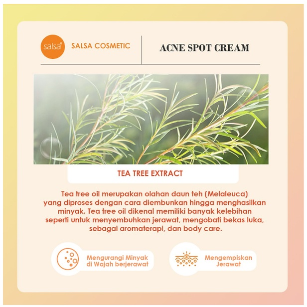 SALSA Acne Intensive Care Spot Cream - Obat Totol Jerawat