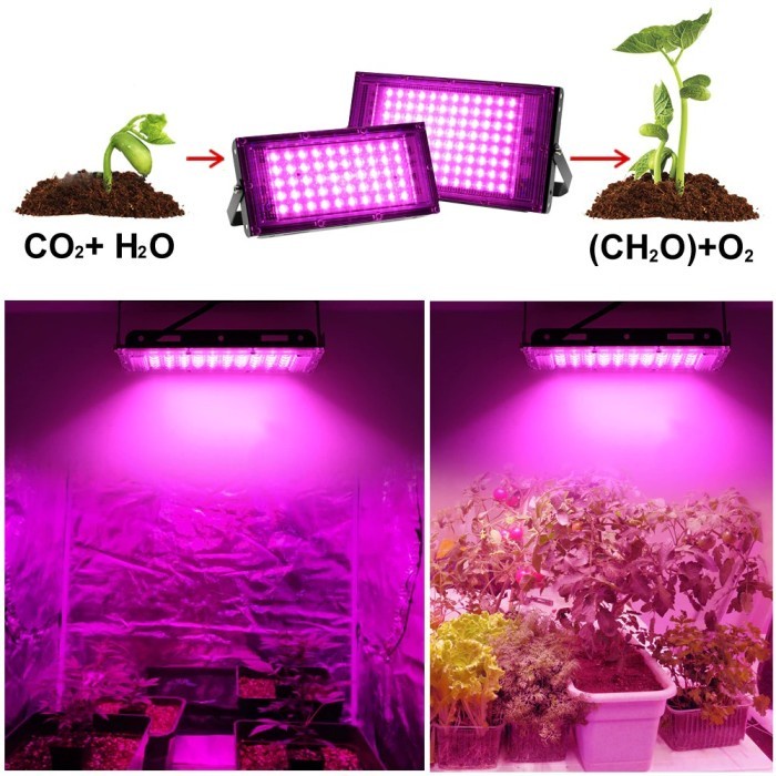 Lampu LED Grow Light Lamp 50W / 100W Greenhouse Tanaman Hidroponik