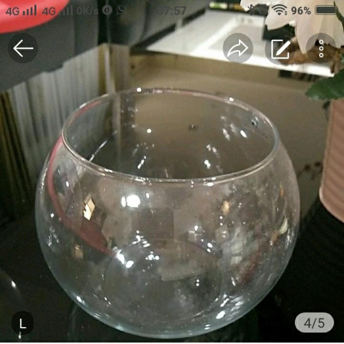 Terlaris Vas Kaca Bulat Vas Kaca Akuarium Terrarium Size L