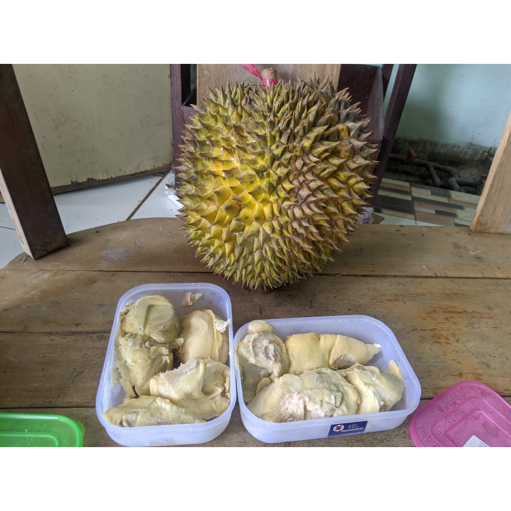 

Durian Montong Lokal Jember (Kupas)