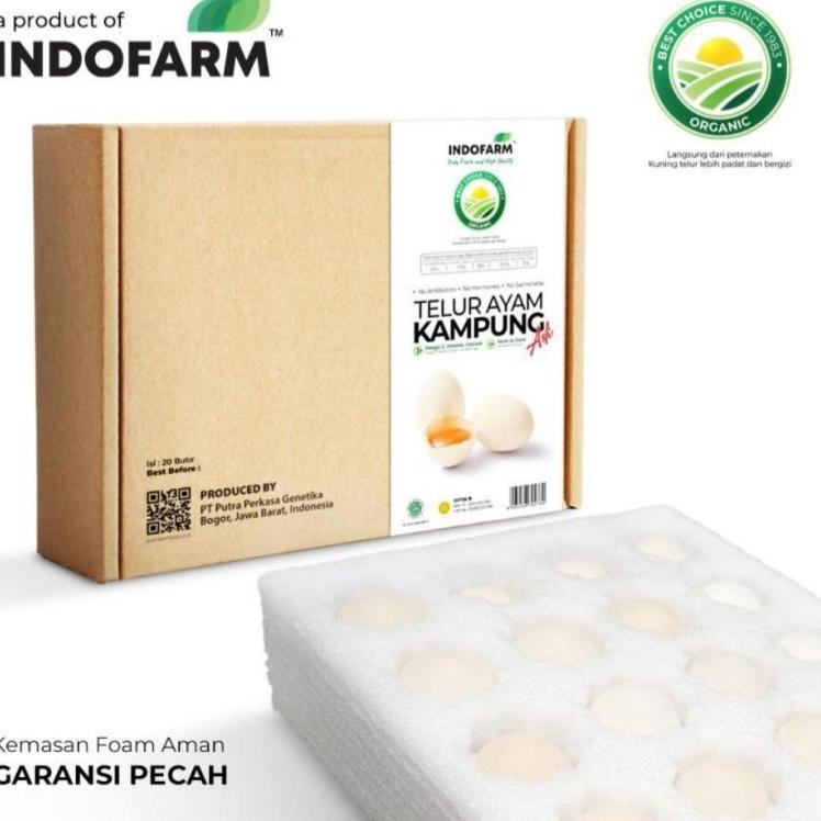 

➲ Telur Ayam Kampung Omega Indofarm 20 pcs Original ➷