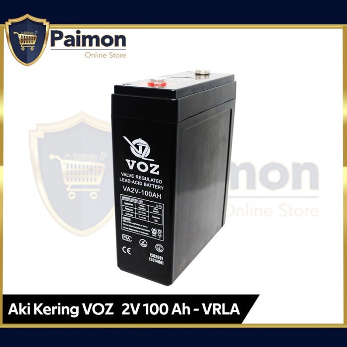 Voz 2V 100Ah VRLA