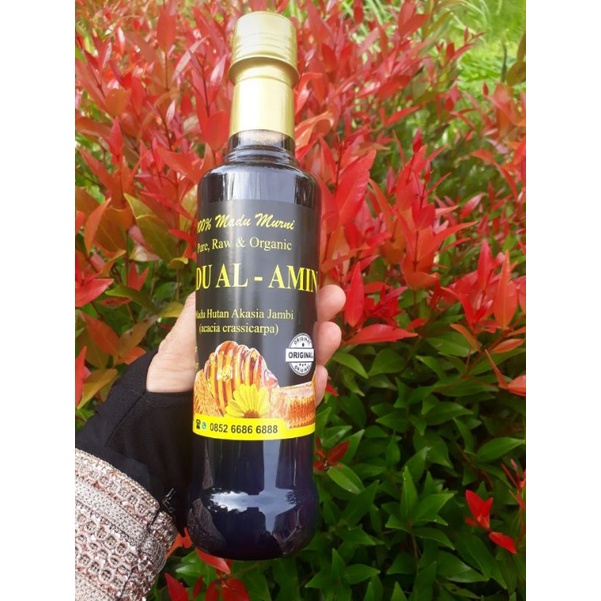 

MADU ACACIA CRASSICARPA 500gr ASLI HUTAN JAMBI SUMATERA