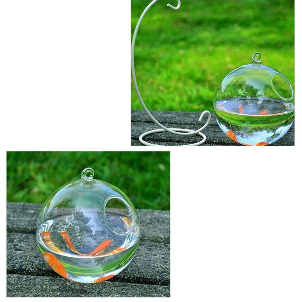 Suyo Hanging Glass Fish Bowl Kaca Transparan Kerajinan Dekorasi Aquarium Hiasan Dinding Dekorasi Rumah Dengan Rak Holder Fish Bowl