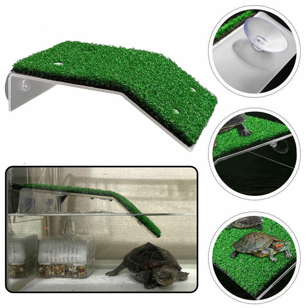 Chookyy Turtle Basking Platform Slope Drying Platform Basking Floating Island Moss